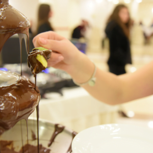 Artisan Cuisine Chocolate Fountain for Hire
